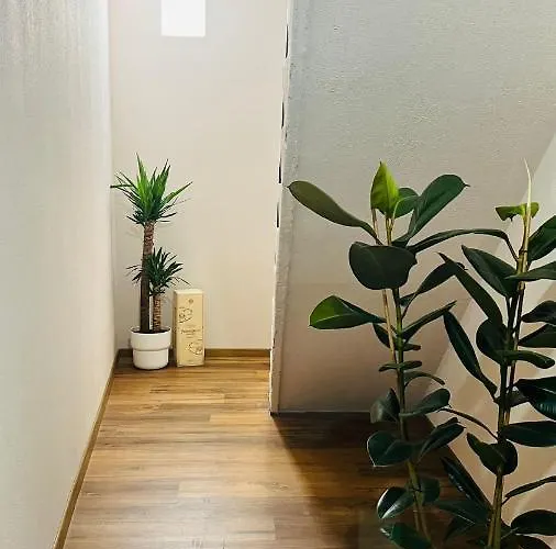 Ca' Bruno Masaneta 3* Grado